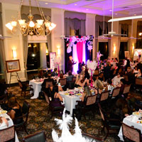 Unmask Gala Pictures